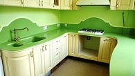 Corian Serpentine Green (фото 2)