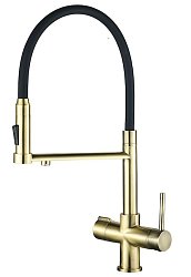 ZorG SH 2003 BRONZE1