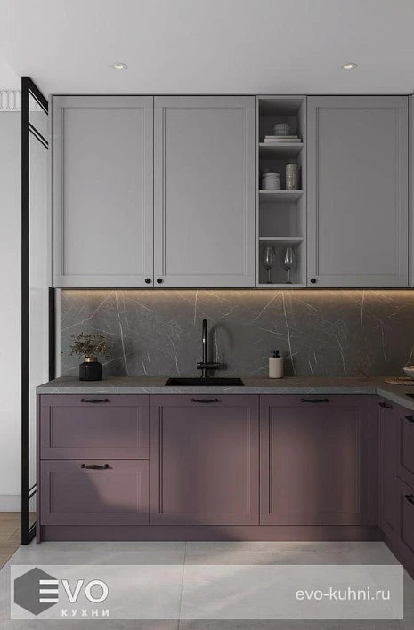 Кухня Протея (фото 2)