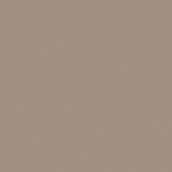 АКРИЛ. FENIX NTM серо-коричневый NTM 0717