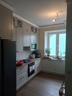 Кухня МС220501