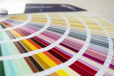 Wood Color (Италия)