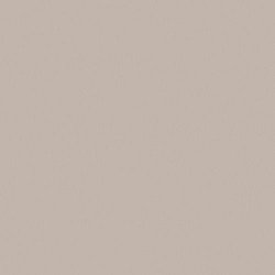 АКРИЛ. FENIX NTM серо-бежевый NTM 0748