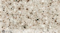 Raisined Chocolate Grandex D-303 (фото 1)