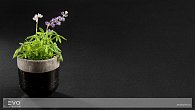 Caesarstone 3100 Jet Black (фото 7)