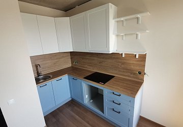 Кухня МС210502